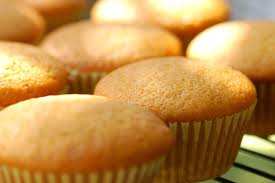 ThinSlim Foods Muffin Pumpkin ThinSlim Foods Muffin Pumpkin
